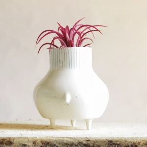 jarrón cerámica Tillandsia