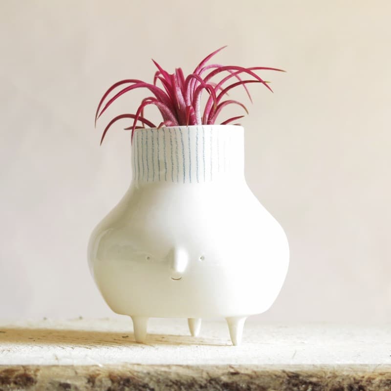 jarrón cerámica Tillandsia
