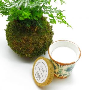 Kokedama, helecho y vela