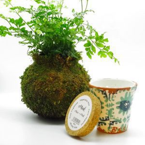 Kokedama vela artesanal