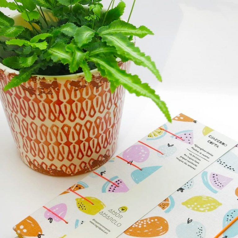 Pack regalo maceta de cerámica, cuaderno y planta